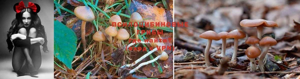 кристаллы Аркадак