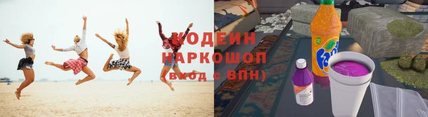 хмурый Арсеньев