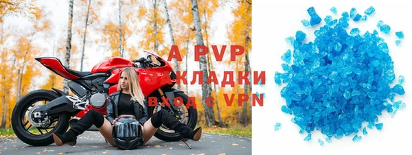 стафф Шадринск