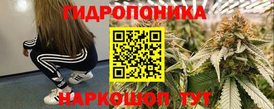 не бодяженный Краснодар